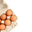 Brown eggs nestled in a cardboard egg carton on white background