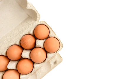 Brown eggs nestled in a cardboard egg carton on white background