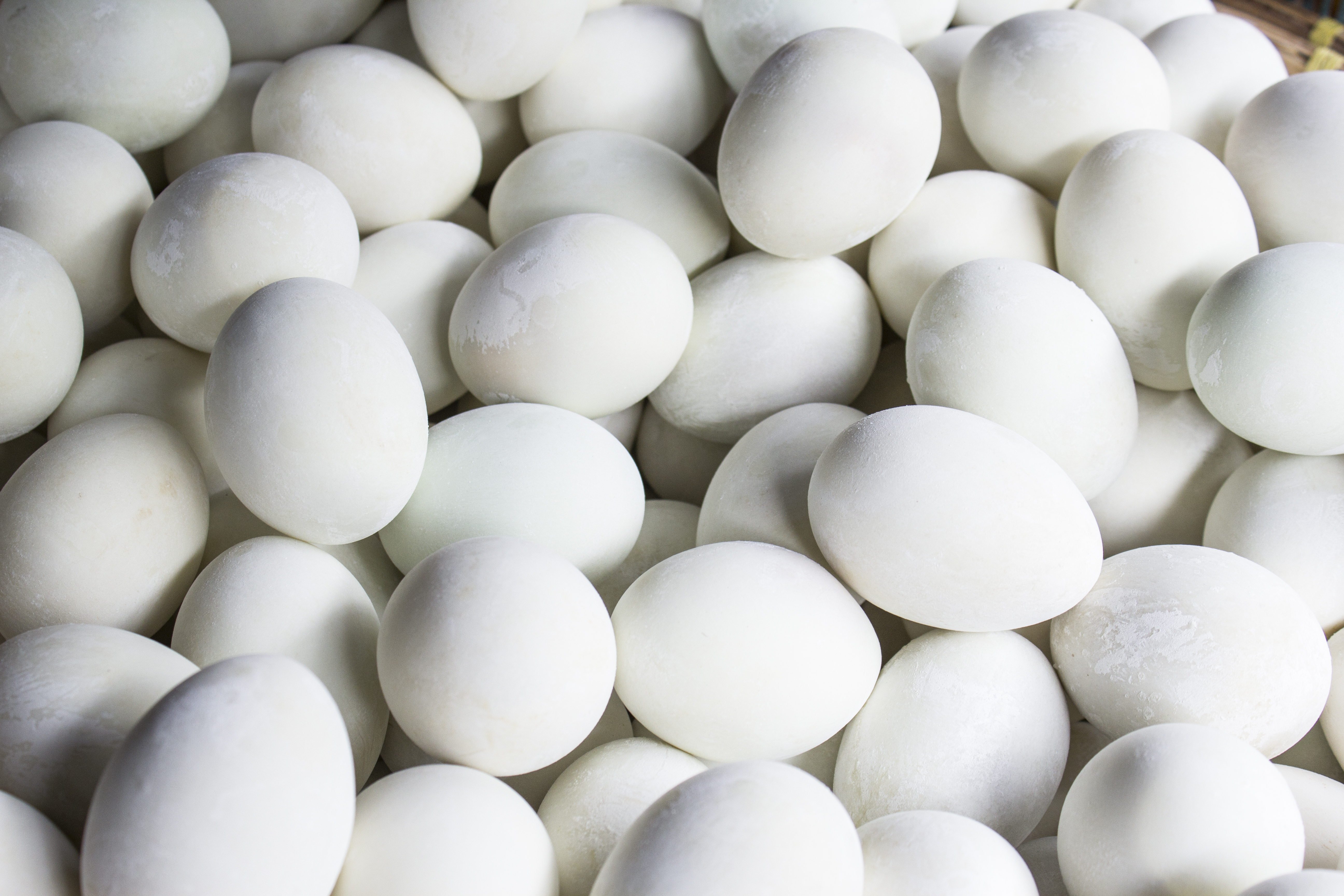 Overhead view of fresh white eggs arranged tightly together