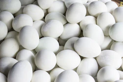 Overhead view of fresh white eggs arranged tightly together