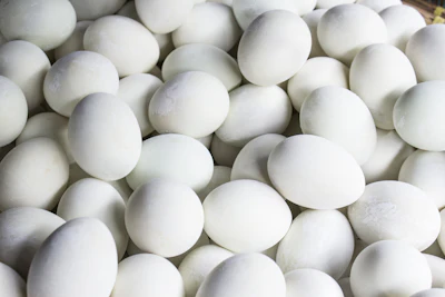 Overhead view of fresh white eggs arranged tightly together
