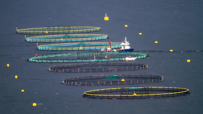 Aerial view of multiple fish farm aquaculture pens with service vessel and yellow buoys in blue water