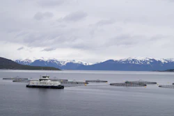 Aquaculture vessel operating among fish farm pens with snow-capped mountains in the background