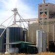 Nutrave grain elevator facility with large cylindrical silos and tan metal building structure against blue sky