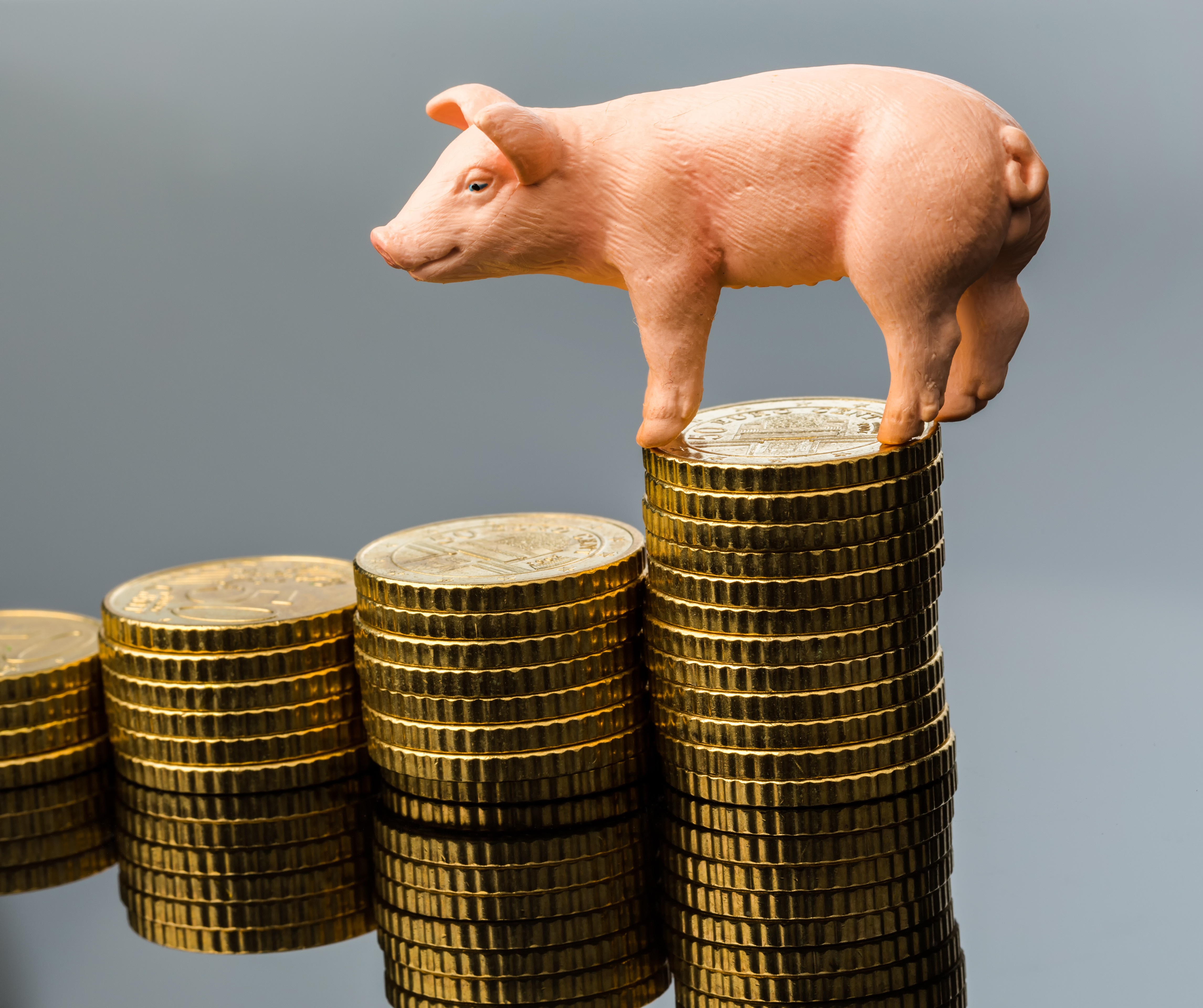 Piggy bank figurine standing on stacked gold coins in ascending columns against gray background