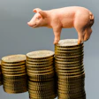 Piggy bank figurine standing on stacked gold coins in ascending columns against gray background
