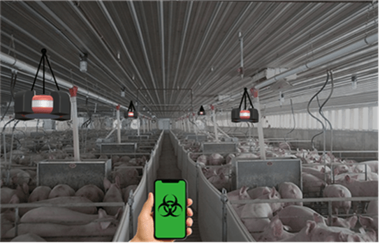 Smartphone displaying biohazard symbol in poultry farm with heat lamps and livestock in industrial facility