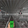 Smartphone displaying biohazard symbol in poultry farm with heat lamps and livestock in industrial facility